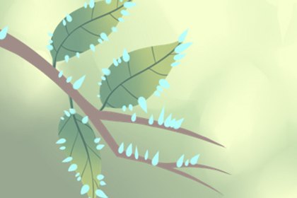 平平稳稳,五行属性为土的字起名大全