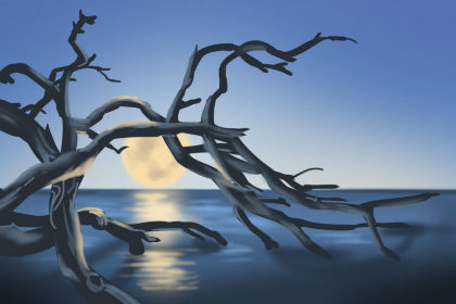 6月4日生日性格解析 出生日的命运:6月4日生日性格解析