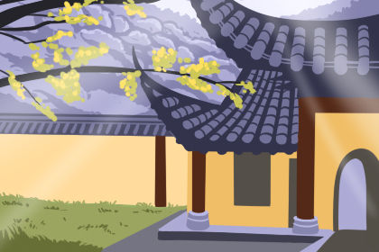 27 (2) 2019年10月13号属猪出生日的命运解析
