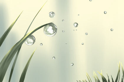 宠物名字大全 身后的跟屁虫 冒险岛宠物名字大全