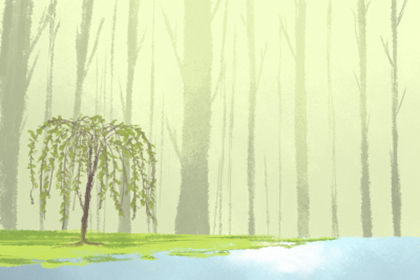 公司 公司名字怎么取才好听 为你指点迷津