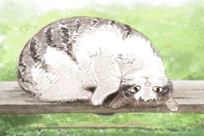 87年属兔炉中火取名 最佳名字分享 87年属兔炉中火取名 最佳名字分享