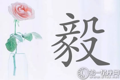 带毅字明星名字分析 都是老将?带毅字明星名字分析