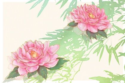 绿森 双牡丹(无字) 成功运满满的公司名字大全 公司起名