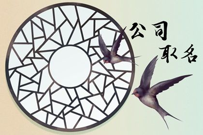 双飞燕(有字) 淘宝女装店铺名字怎么取 电商店铺名字大气的