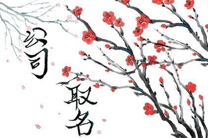 有创意的篮球培训班名字 培训班起名推荐字 有创意的篮球培训班名字 培训班起名推荐字