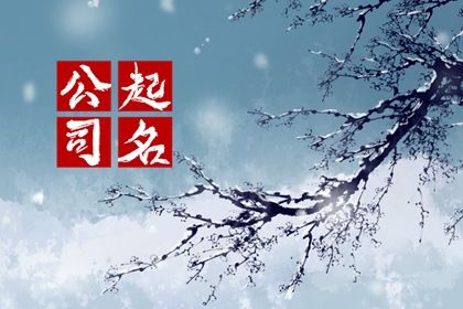 怎样给辅导机构起名 2022年公司起名方法 怎样给辅导机构起名 2022年公司起名方法