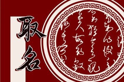 招财的绿植店名 店铺怎么起名比较好 招财的绿植店名 店铺怎么起名比较好