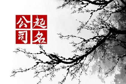 篮球馆名称怎么取比较好 好听的店名有哪些 篮球馆名称怎么取比较好 好听的店名有哪些
