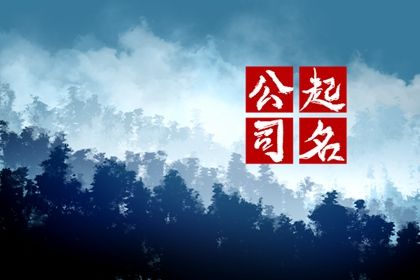 公司起名带格字的最佳宜用名 寓意良好的公司名字 公司起名带格字的最佳宜用名 寓意良好的公司名字