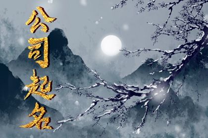 属龙的公司起名表达兴旺发达 要顺口好听 属龙的公司起名表达兴旺发达 要顺口好听