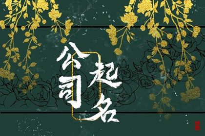 属龙公司适合名字大全 独特的公司名字 属龙公司适合名字大全 独特的公司名字