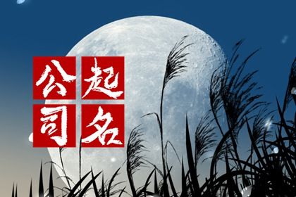 生肖属马公司起名 读音简单好听的名称 生肖属马公司起名 读音简单好听的名称