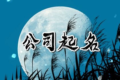 五行属火最吉利的公司名称 大气的企业名字怎么取 五行属火最吉利的公司名称 大气的企业名字怎么取