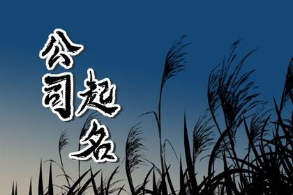 科技公司的名字怎么起 简单又大气的企业取名 科技公司的名字怎么起 简单又大气的企业取名
