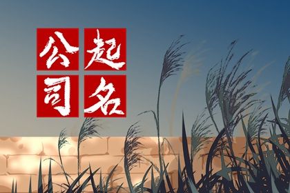 食品公司起名字寓意好的有 兴旺的企业名称 食品公司起名字寓意好的有 兴旺的企业名称
