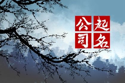 投资公司取名字大全集 志向远大的去特名称 投资公司取名字大全集 志向远大的去特名称