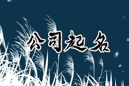 商贸公司起名字大全免费三个字 新贸易公司取名字大全参考 商贸公司起名字大全免费三个字 新贸易公司取名字大全参考