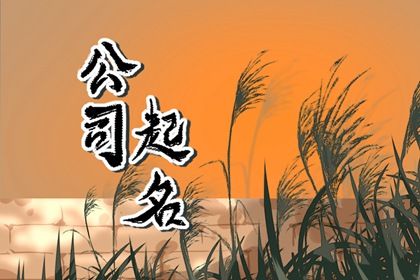 医疗美容公司取名 医疗公司取名字参考大全 医疗美容公司取名 医疗公司取名字参考大全