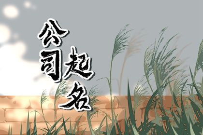 三字顺口名字公司 带来好运的公司名字 三字顺口名字公司 带来好运的公司名字