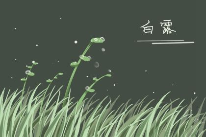 2022年白露出生的宝宝起名 白露节气取名宜用字 2022年白露出生的宝宝起名 白露节气取名宜用字