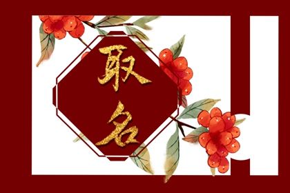 2023新生儿起名字大全 免费给兔宝宝取名字 2023新生儿起名字大全 免费给兔宝宝取名字