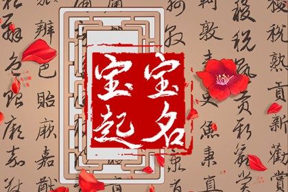 黑兔年宝宝取名 属兔的取什么名字是最好的 黑兔年宝宝取名 属兔的取什么名字是最好的