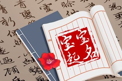新年出生宝宝起名字大全 吉利大气的宝宝名字 新年出生宝宝起名字大全 吉利大气的宝宝名字