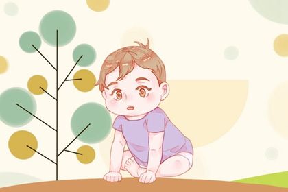 男孩属兔起名字大全 2023年男宝取名100分精选名字 男孩属兔起名字大全 2023年男宝取名100分精选名字