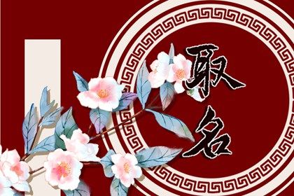 给女儿取名叫什么好 给女宝宝起名字2023年属兔 给女儿取名叫什么好 给女宝宝起名字2023年属兔